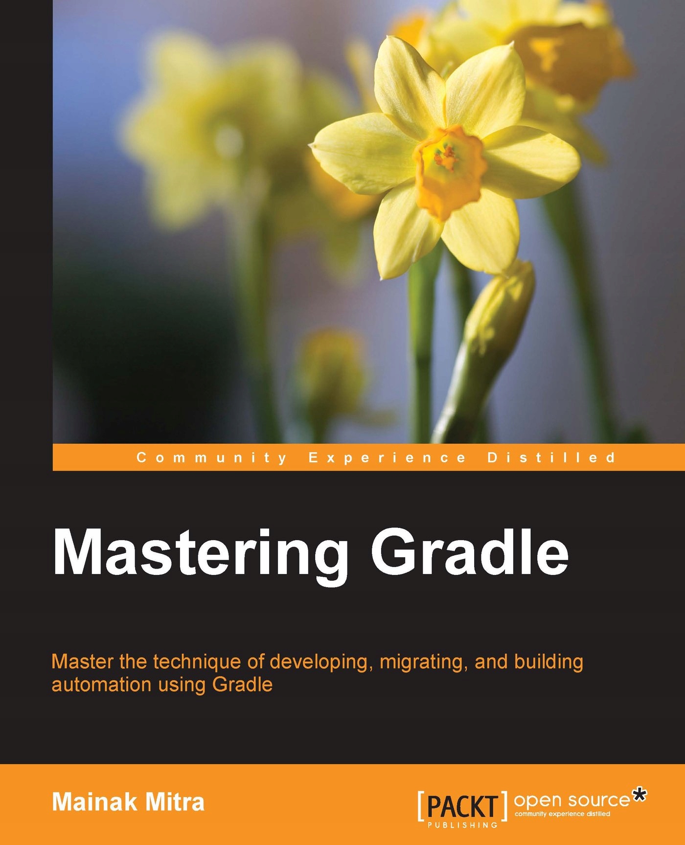 Mastering Gradle - ebook