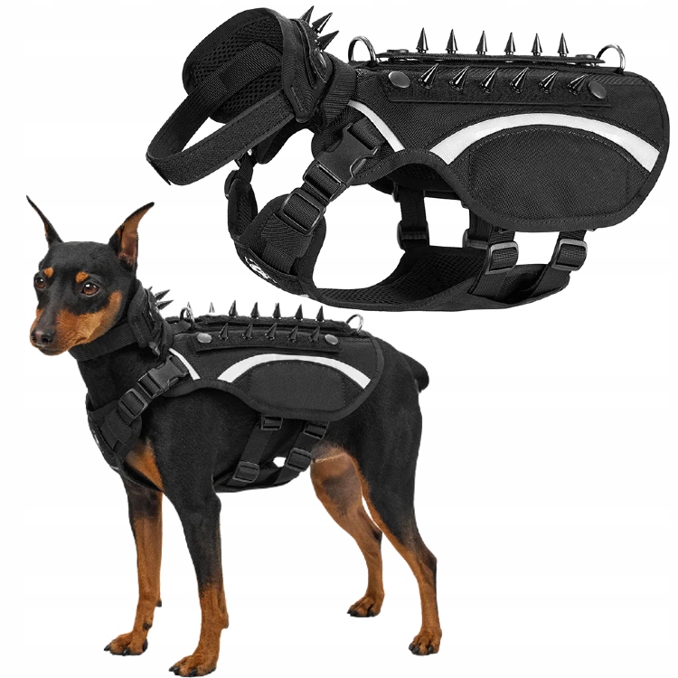 Levně Taktické postroje OneTigris Stegosaur Xs s hroty Nylonový obojek 1000D