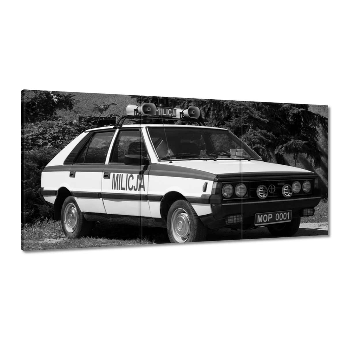 Obrazy 180x90 Miličný Polonez