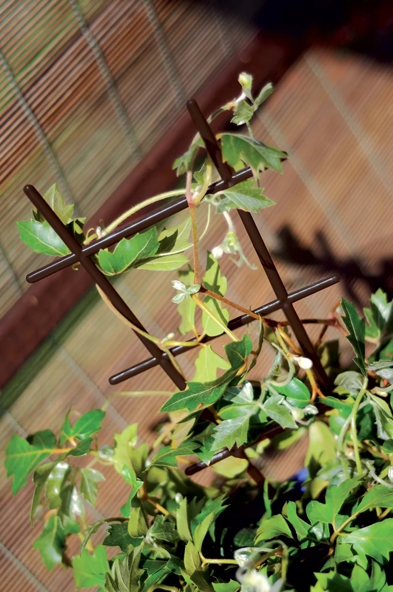 DRABINKA PODPÓRKA DO KWIATÓW BRĄZOWA 38 CM EAN (GTIN) 5905197341019