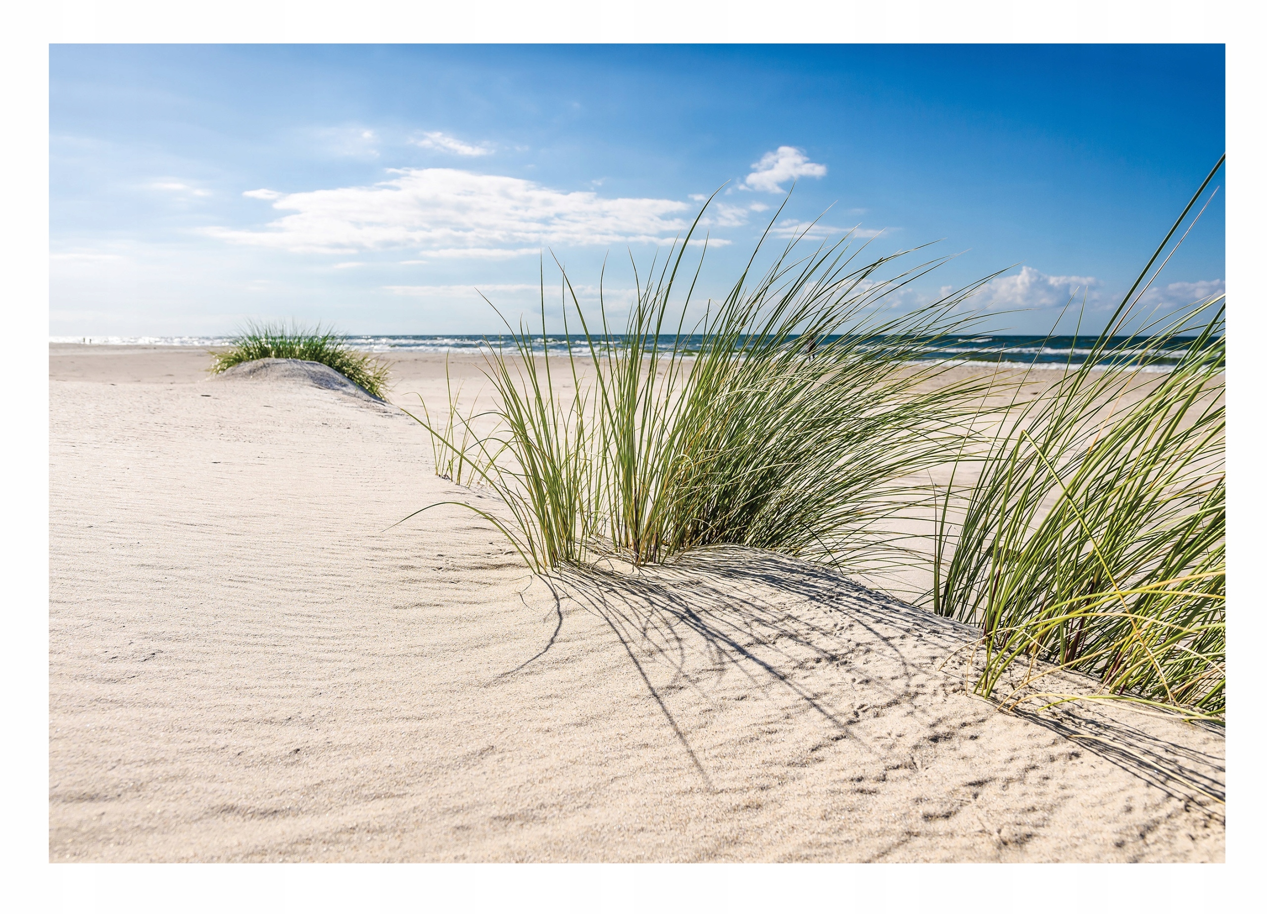 Fototapeta Pláž Moře Duny Pohled Příroda 416x254