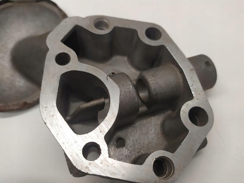 Smok pompy oleju Polonez, FSO Typ samochodu Samochody osobowe