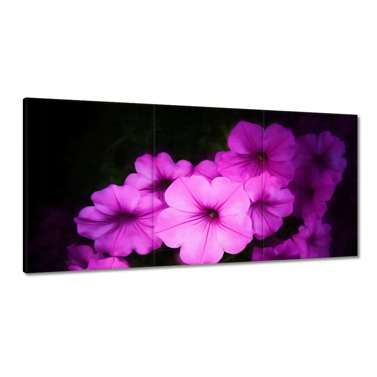 Obrazy 180x90 Fialové kvety Petúnie