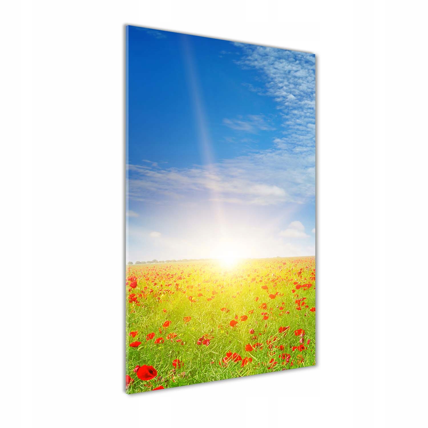 

Foto obraz akrylowy na ścianę Pole maków 50x100cm