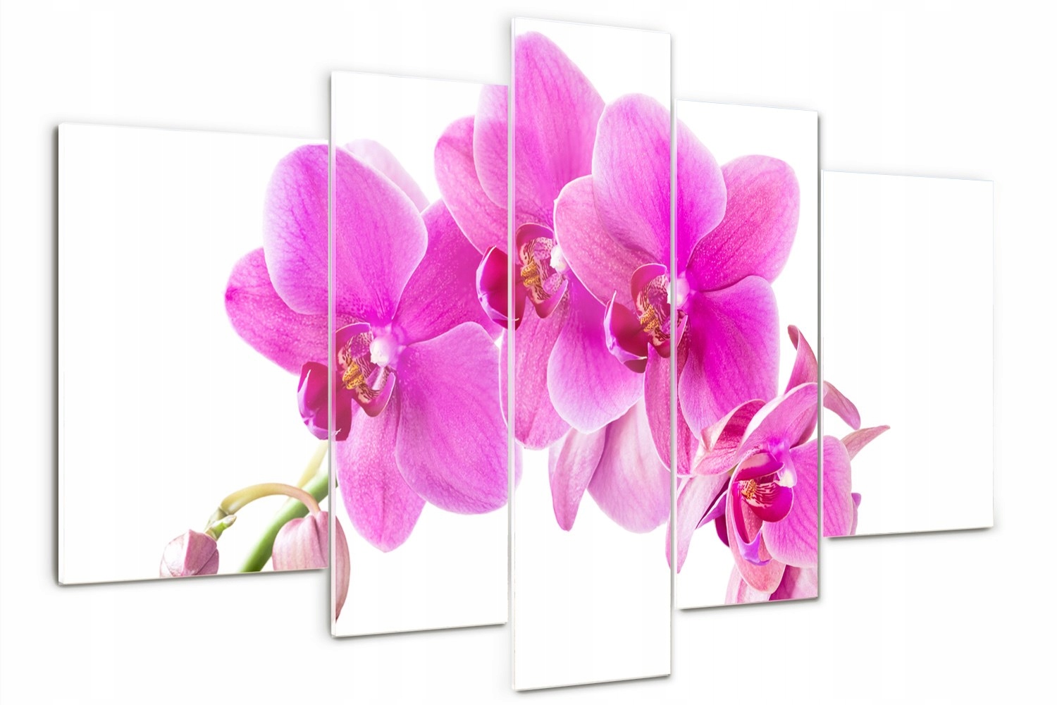

Foto Obraz szklany duży tryptyk Różowa orchidea