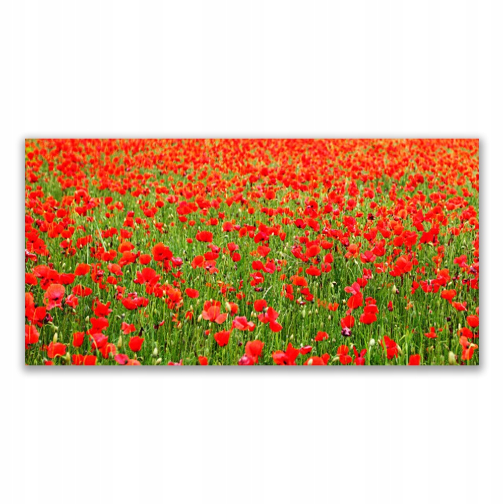 

Fotoobraz akryl ścienny 120x60 Maki Roślina Natura