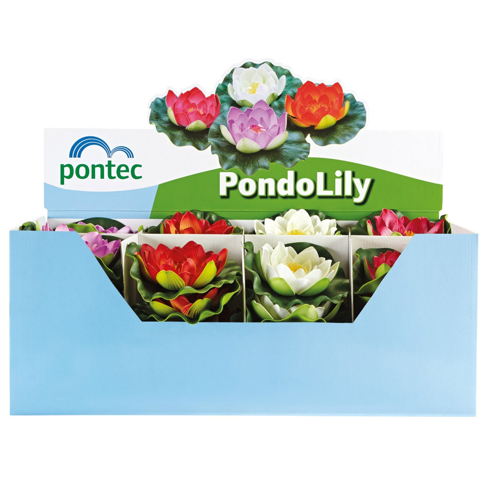 Pontec PondoLily Pływające lilie wodne 4 szt.- mix Kod producenta 57528