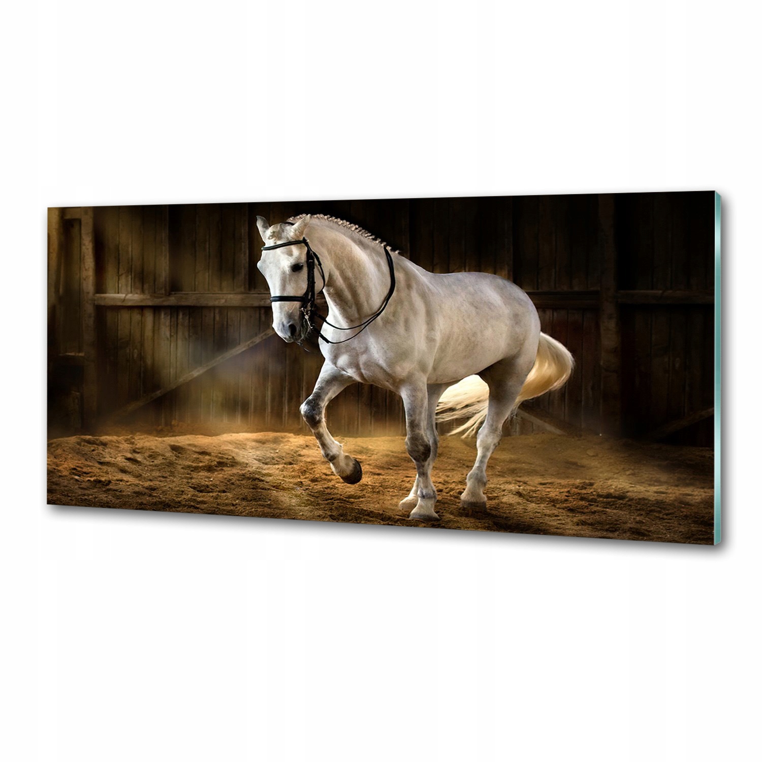 Panel do kuchyne Biely kôň 125x50 cm Lepidlo Darček