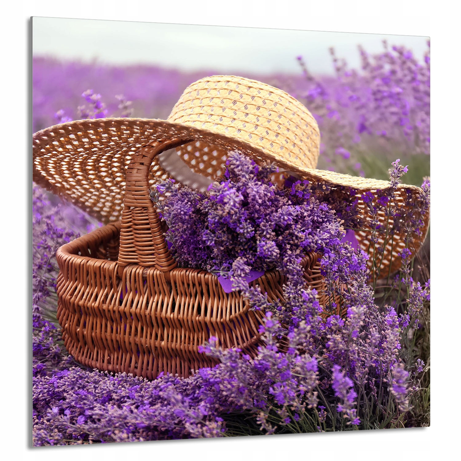 Skleněný Panel Do Kuchyně 60x65 Levandule Tvrzené Sklo