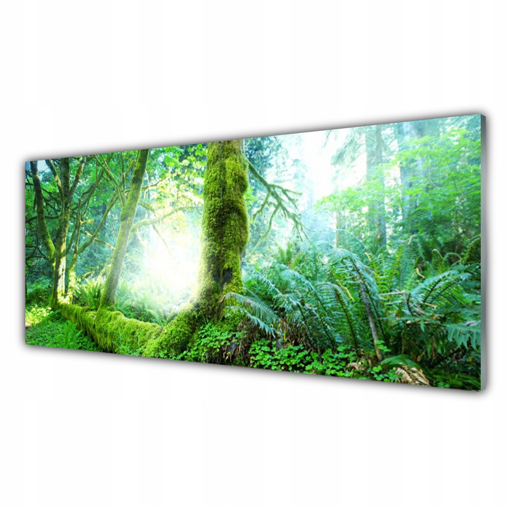

Fotoobraz akryl z grafiką 125x50 Las Mech Natura