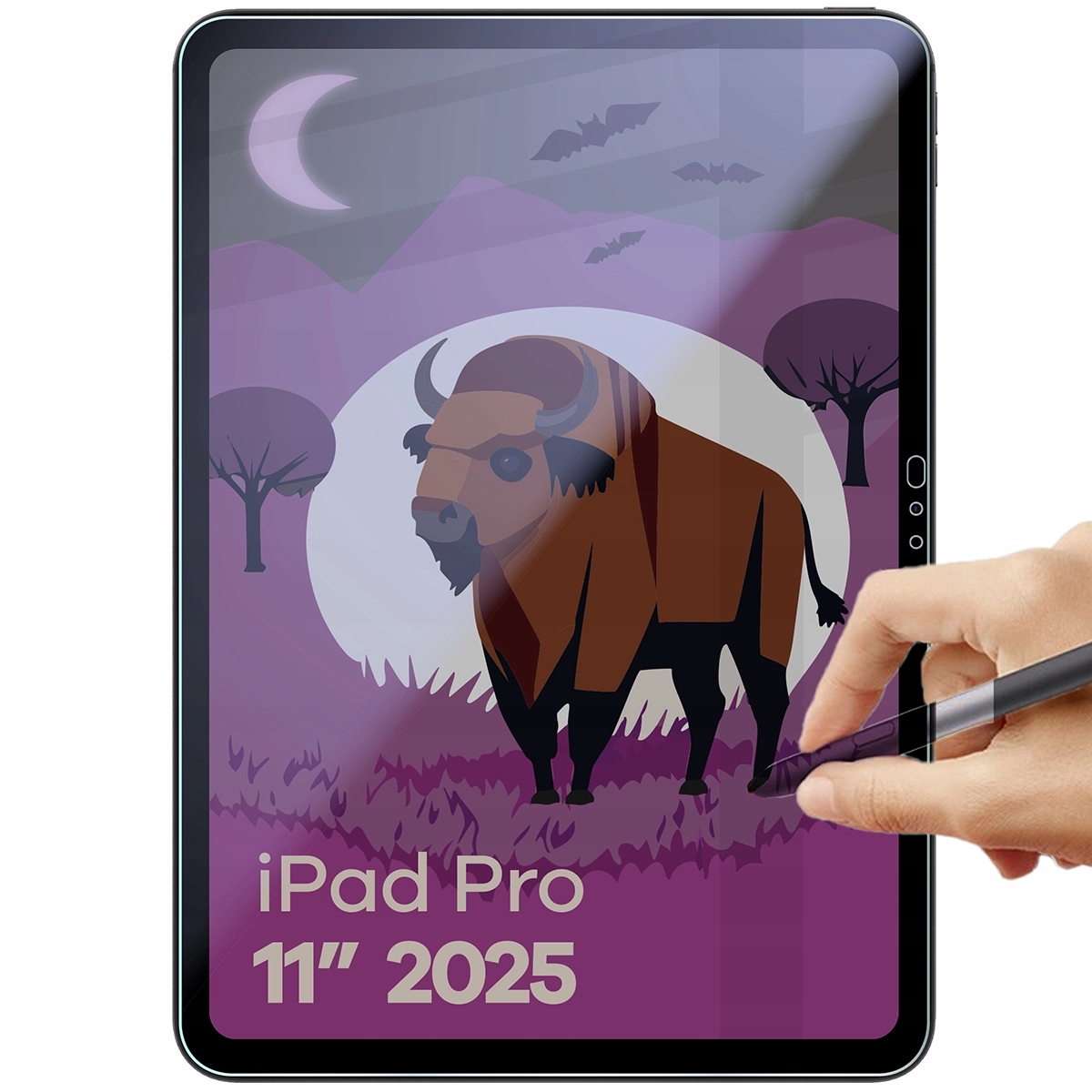 Sklo pro iPad Pro 11" M5 2025, Bizon, matné sklo, ochrana soukromí