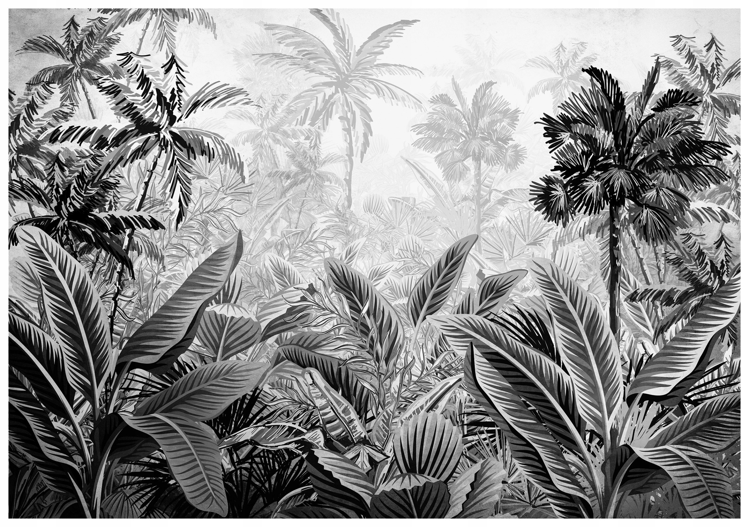 Fototapeta Černé bílé palmy Džungle Botanika Tropiky 254x184 lepidlo