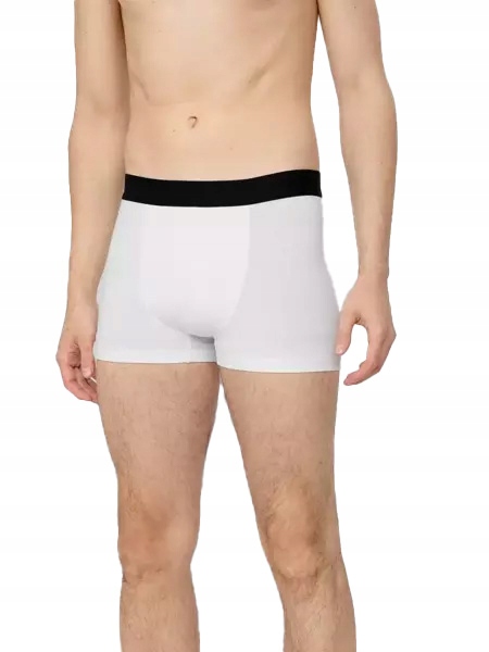 Bokserki męskie 4F 2szt białe i szare XXL Model H4Z22-BIM350-92S-XXL