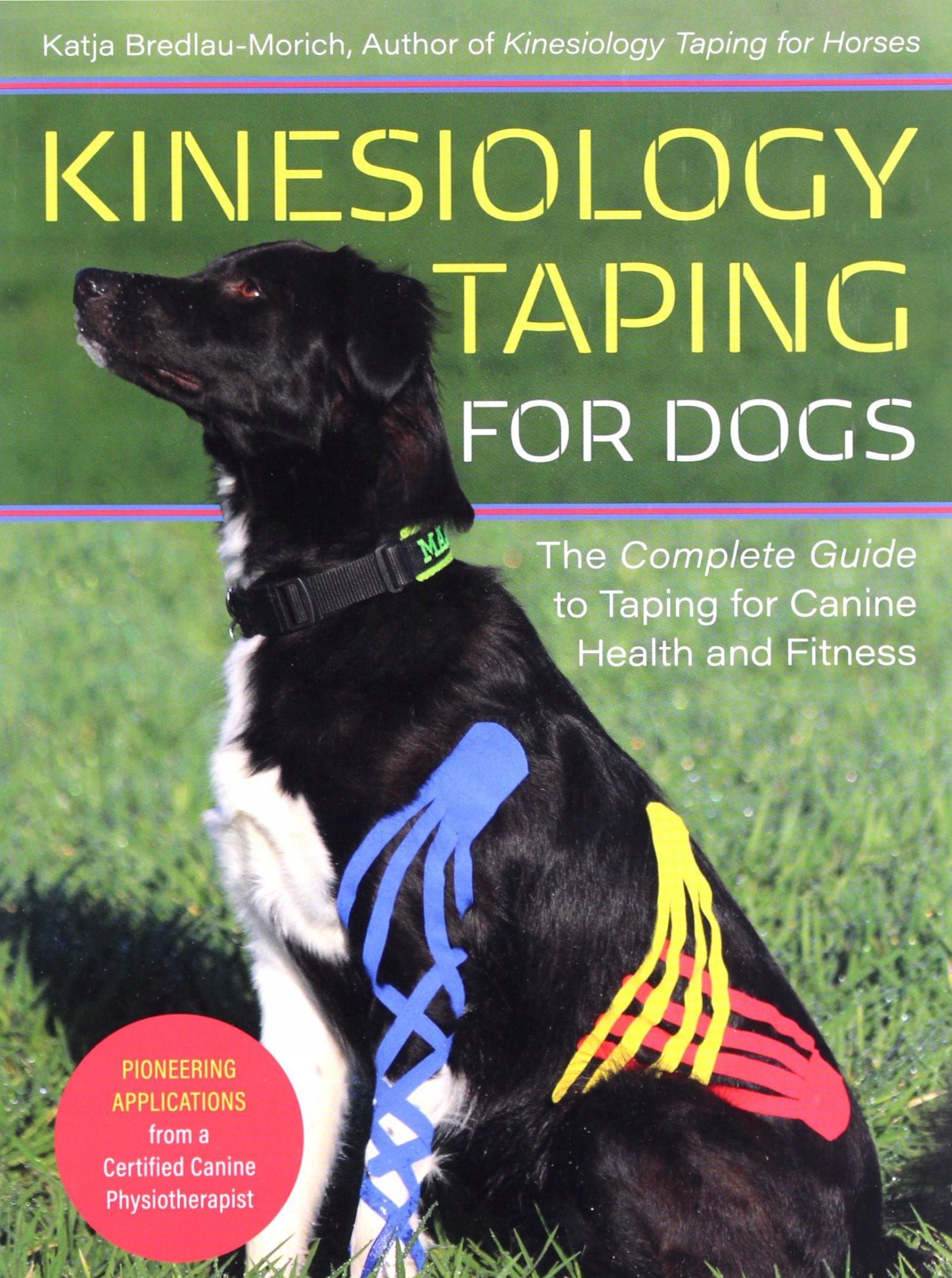 

Kinesiology Taping For Dogs: The Complete Guide To