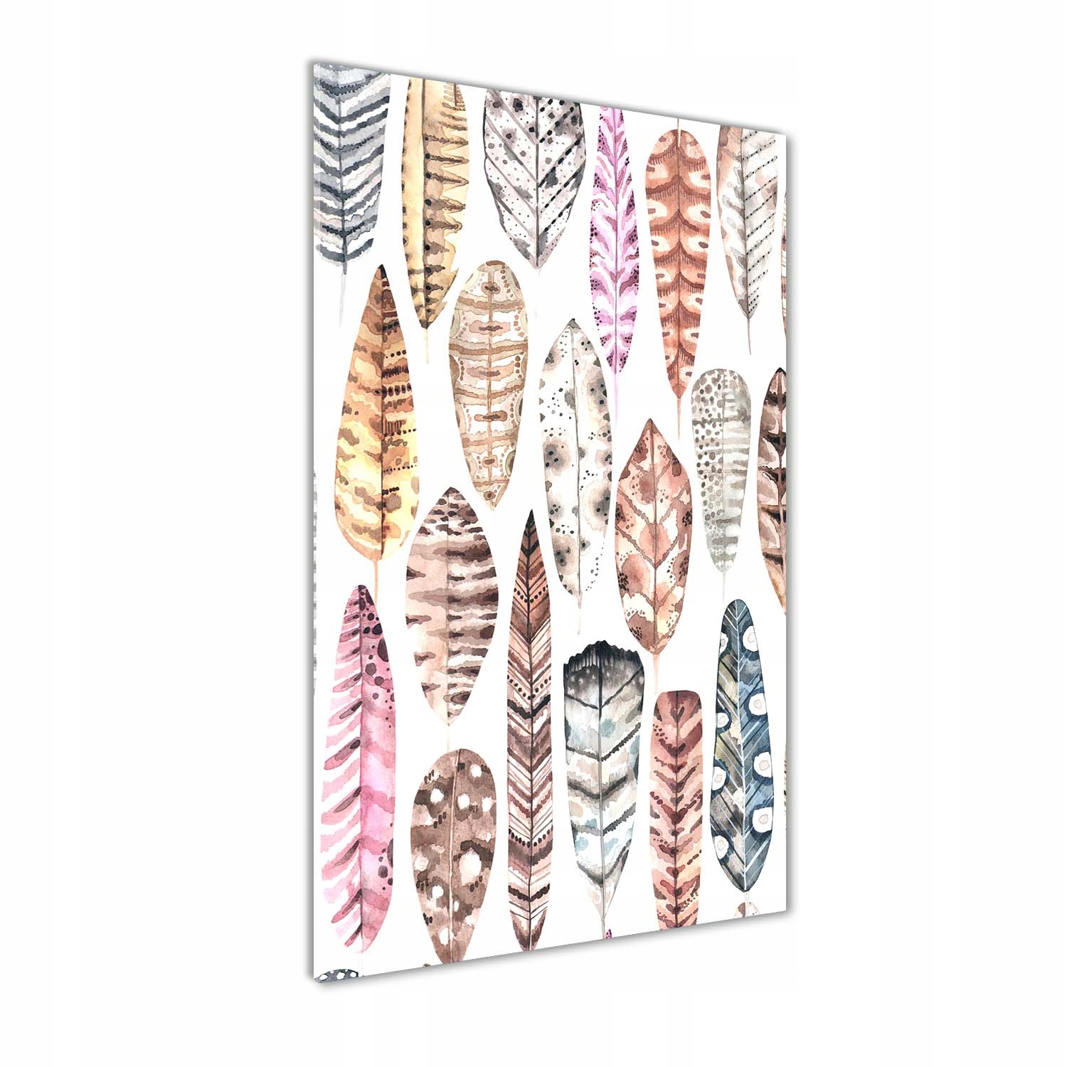 

Foto obraz akryl do salonu Kolorowe pióra 70x140cm