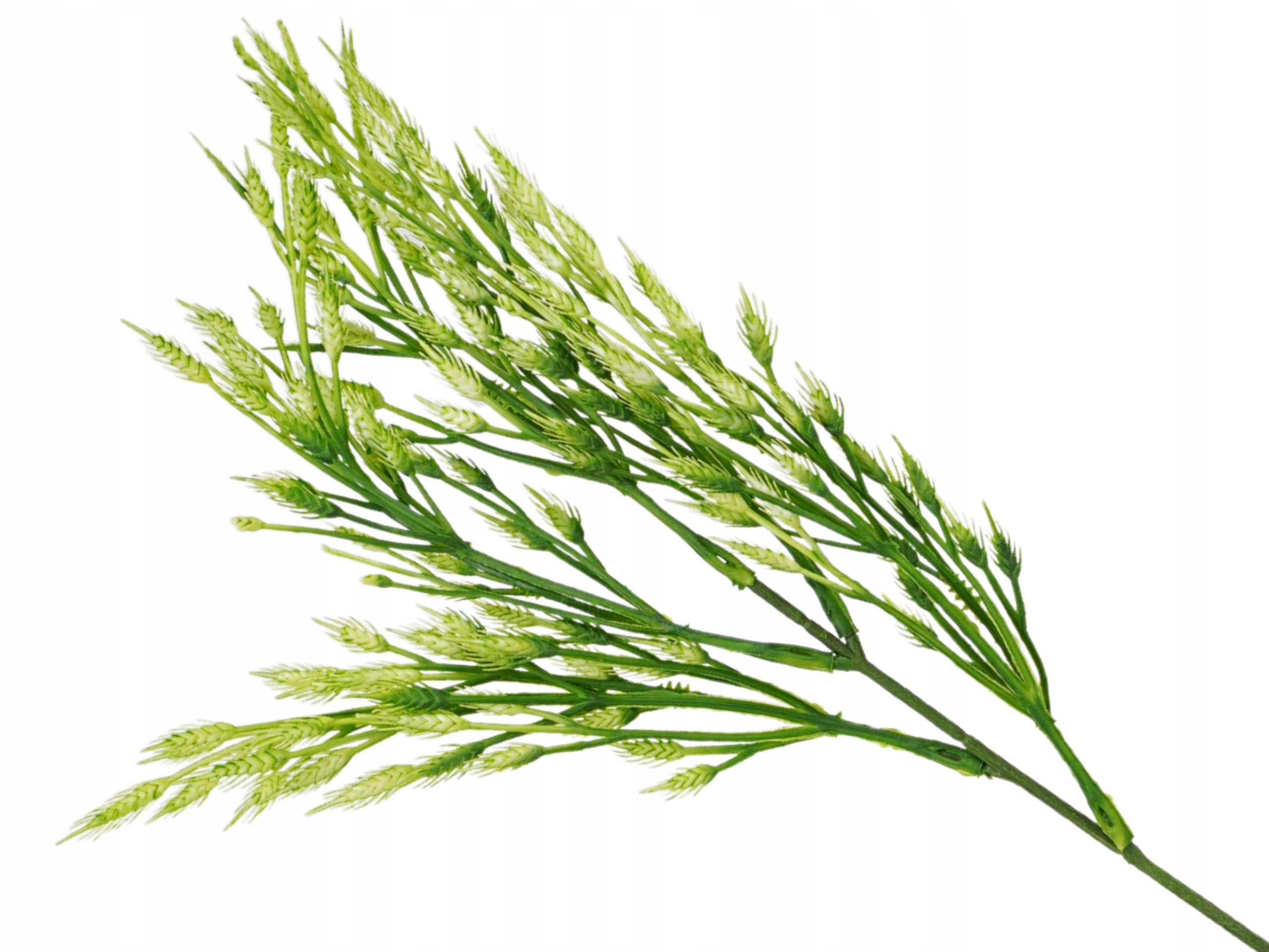 BOHO GAŁĄZKA ZIELONA DODATEK DO STROIKÓW BUKIETÓW 47cm DŁUGA ROŚLINA Marka Topoblu