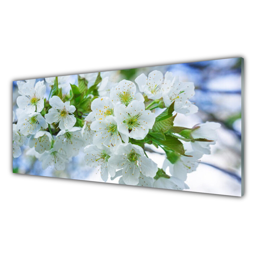 

Obraz akrylowy 125x50 Kwiaty Drzewo Liście Natura