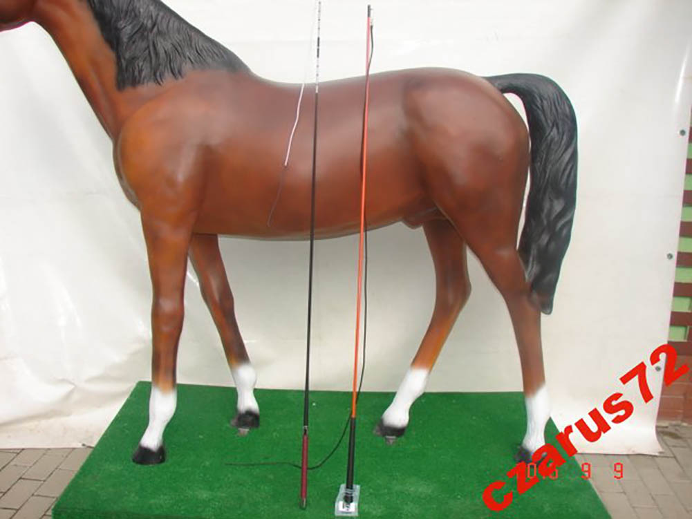 Bič Pro Přepravu 160 CM 180 CM