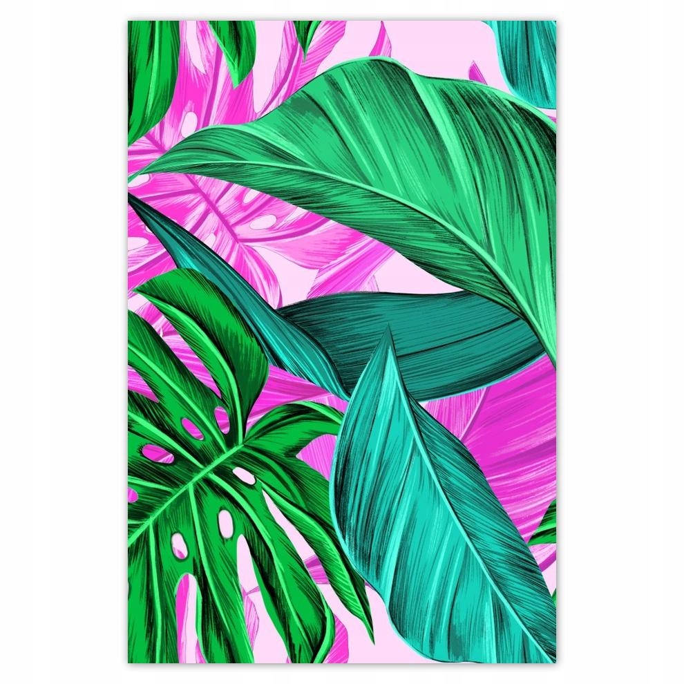 

Plakat 62x93 Liście Monstery Tropiki