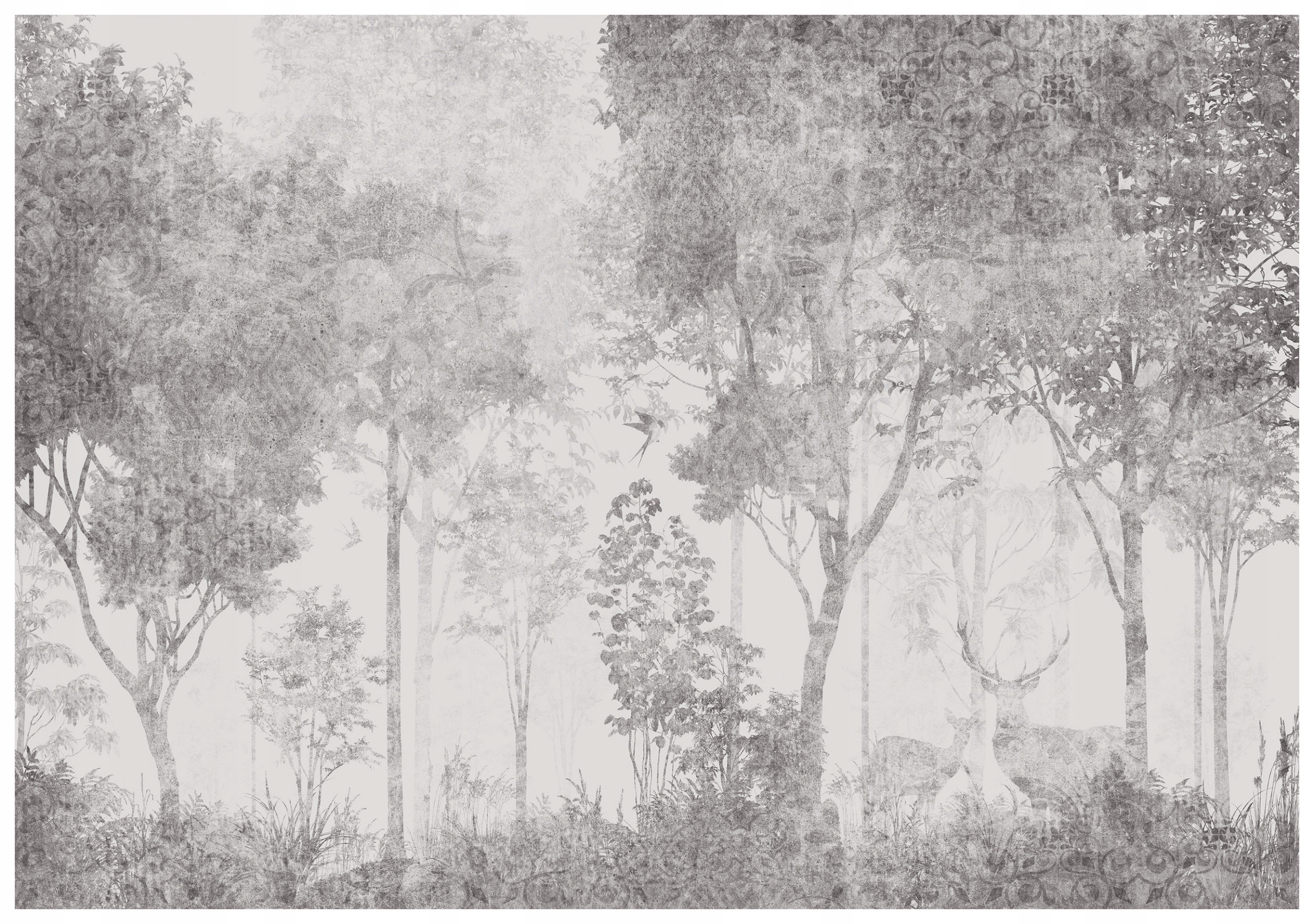 Fototapeta Les s jelenem Černobílý Monochromatický 208x146 3D lepidlo