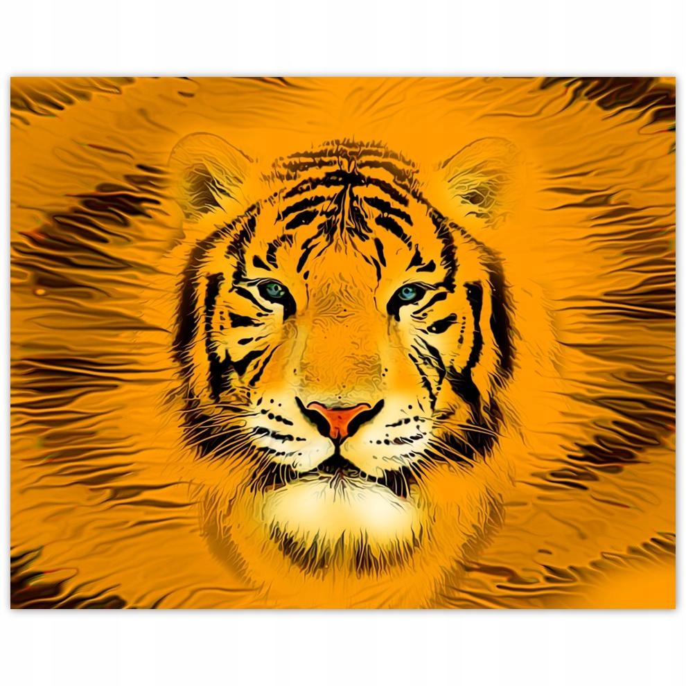 

Plakat 50x40 Orange tiger Tygrys