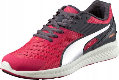 

Puma Ignite V2 Jr 188588 03 R. 36