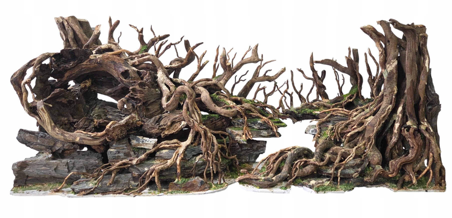 Aranžování Terária Akvárium ručně vyrobené 120x40x45 cm Dekorace