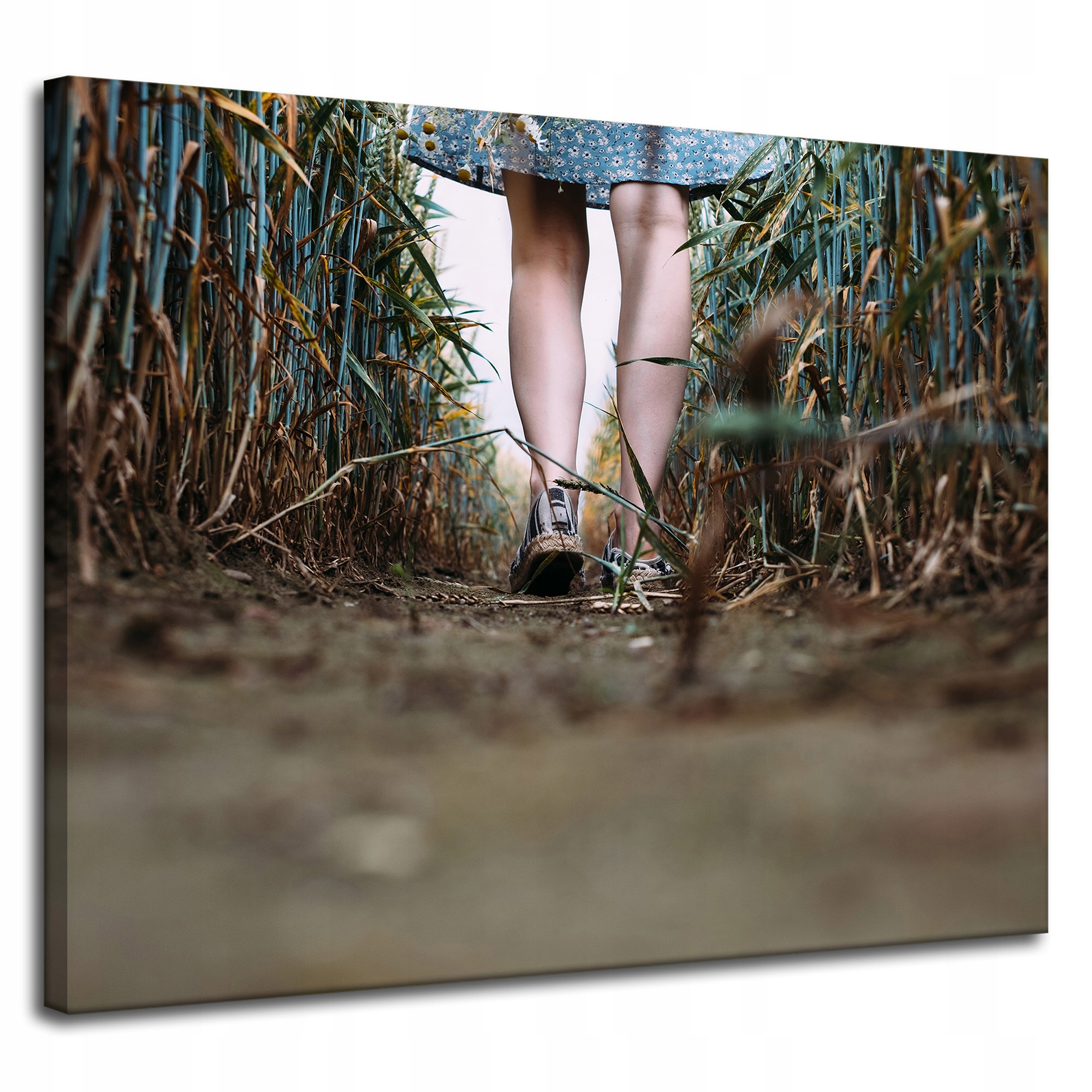 Obraz na plátně Příroda Procházka v poli 100x80 cm
