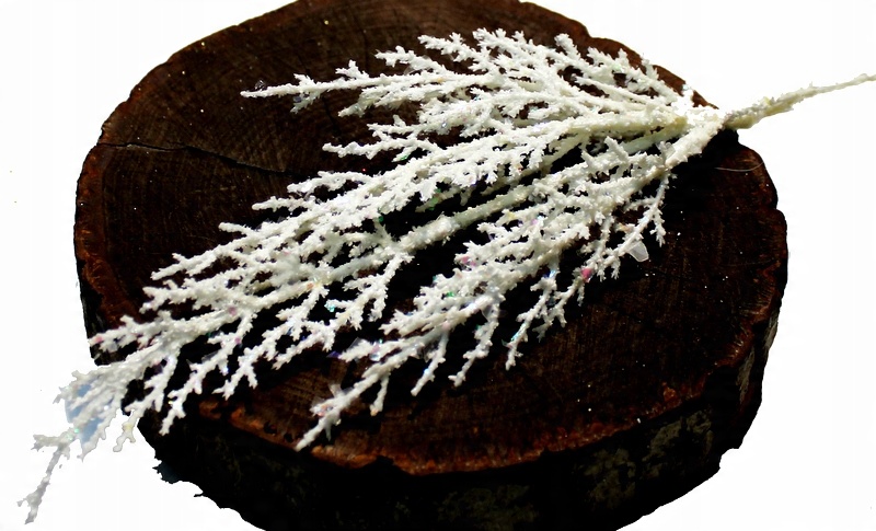

Tuja Thuja Gałązka Brokatowa Biała 29 cm