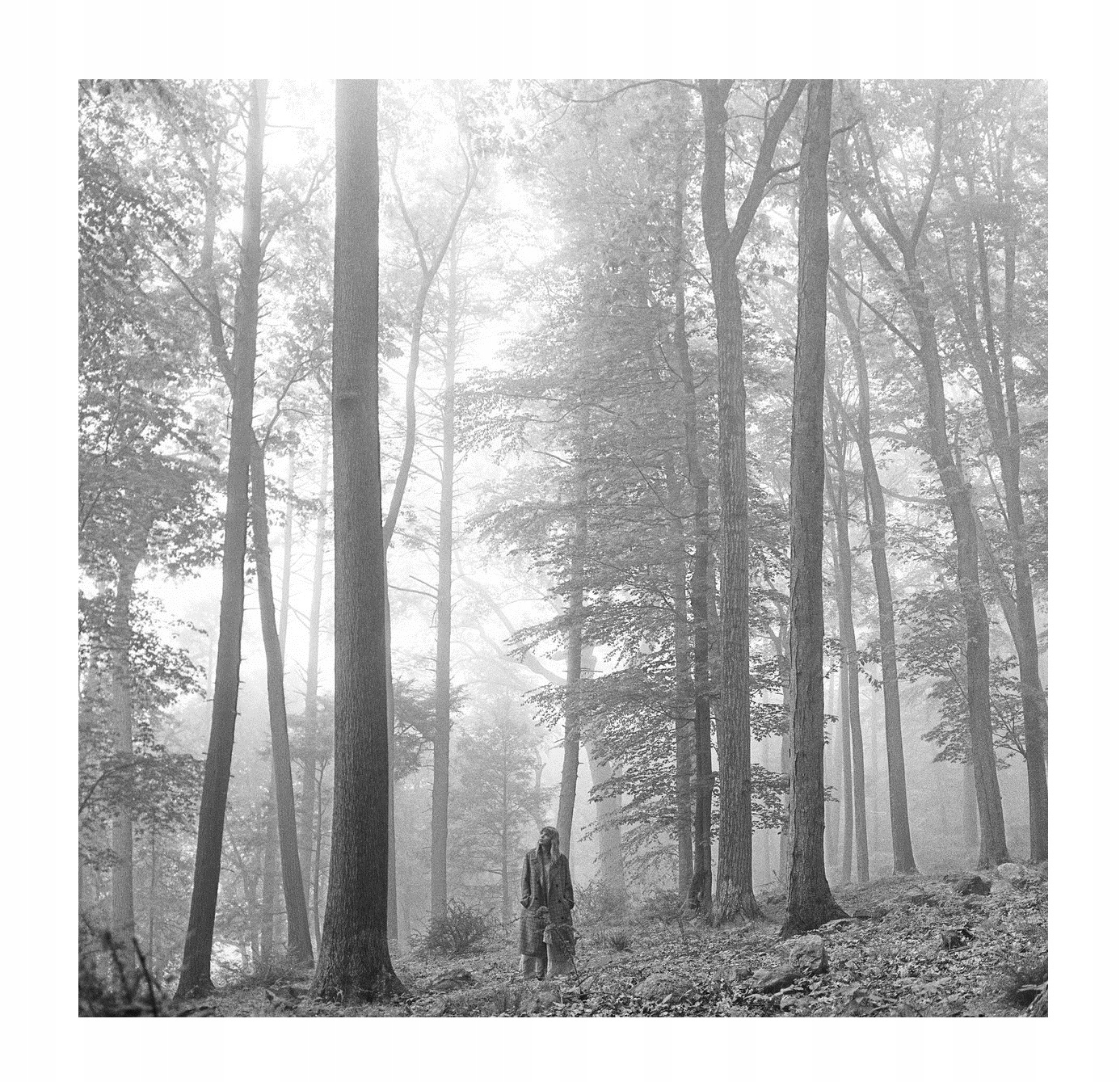 379964b14cab8a6de7d4850082f1