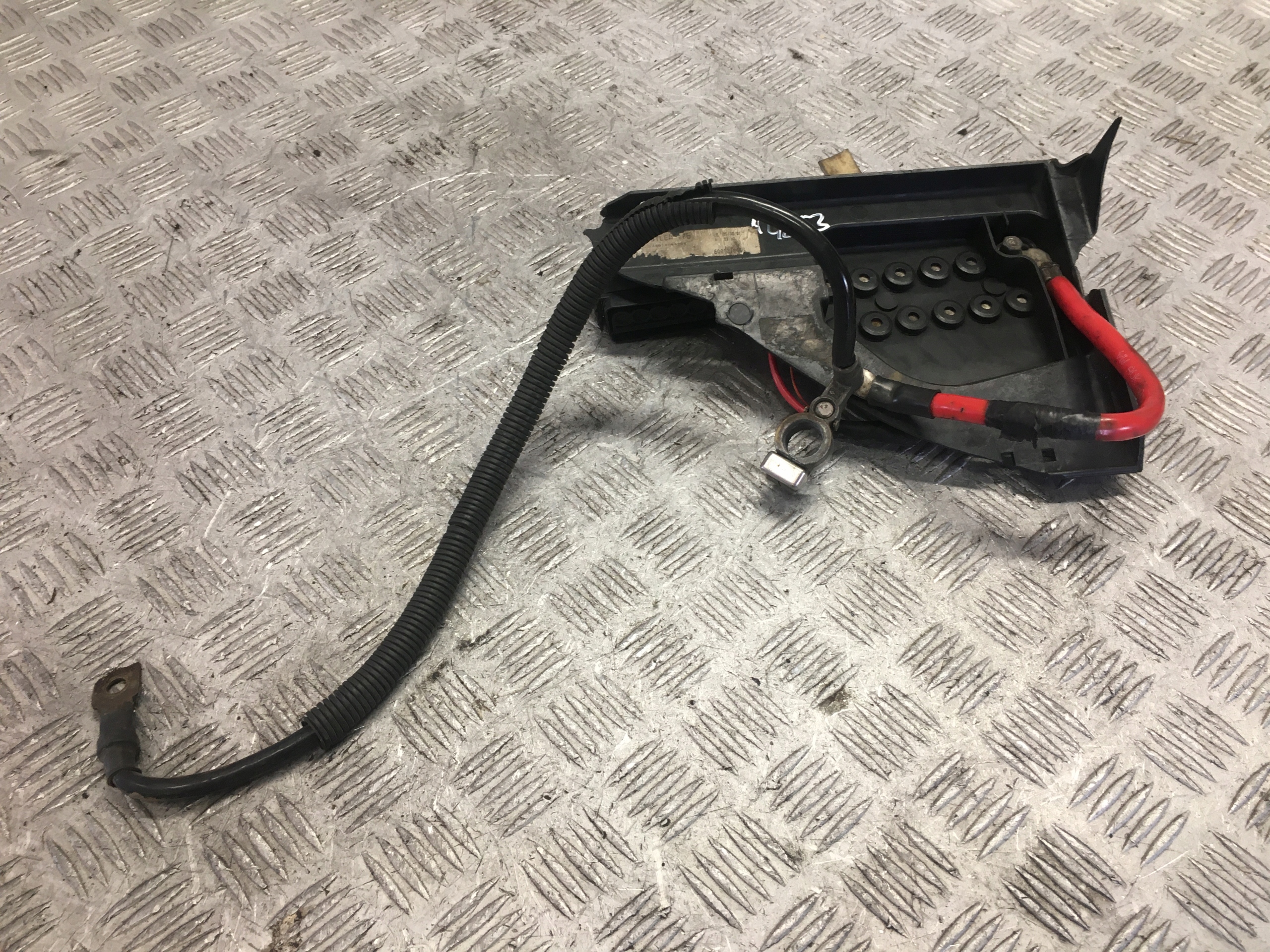 FABIA I KLEMA PLUSOWA