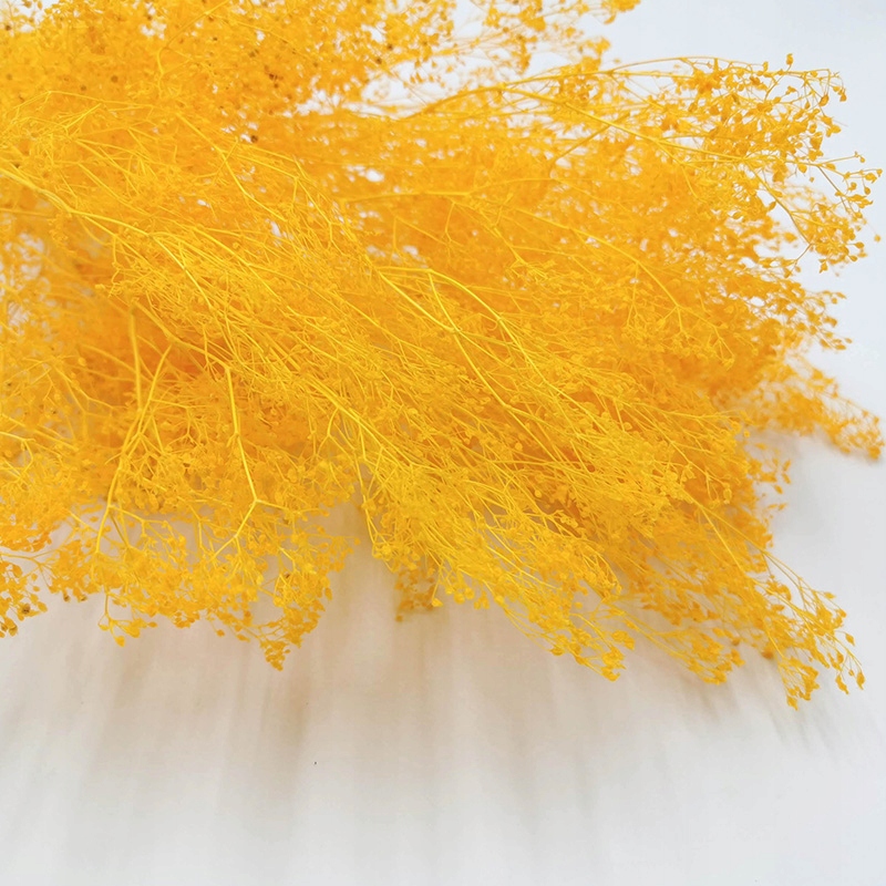 Gipsówka Pomarańczowa Drobna stabilizowana -bukiet Kod producenta Gipsówka Stabilizowana Pomarań mech-mech