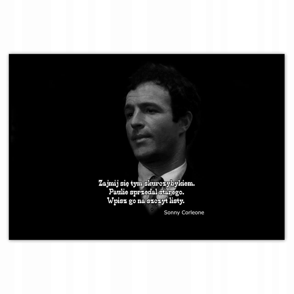 Plakáty 200x135 Godfather Sonny Citáty