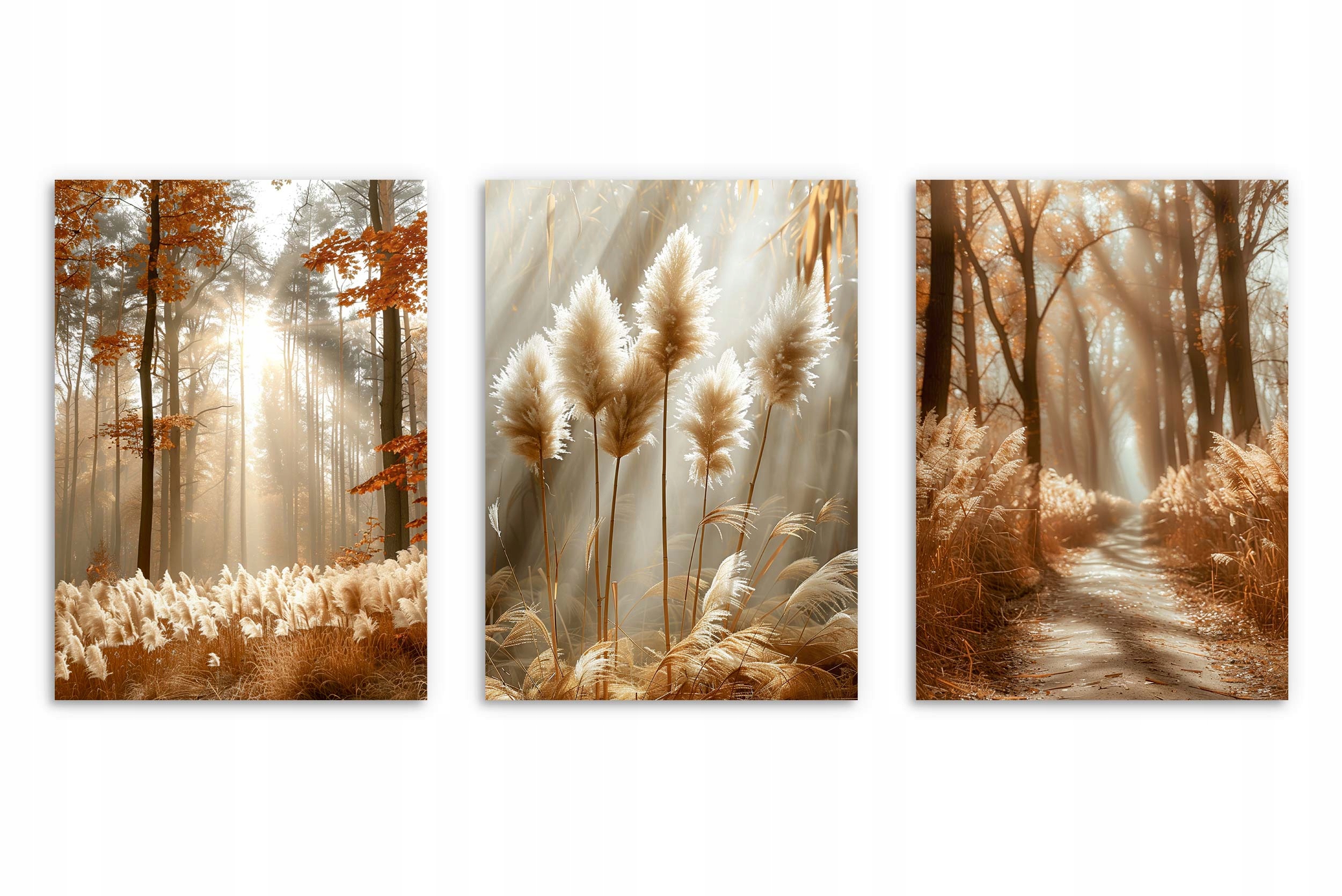 Plakaty las w słońcu styl boho plakaty do sypialni postery do salonu 3x 50x