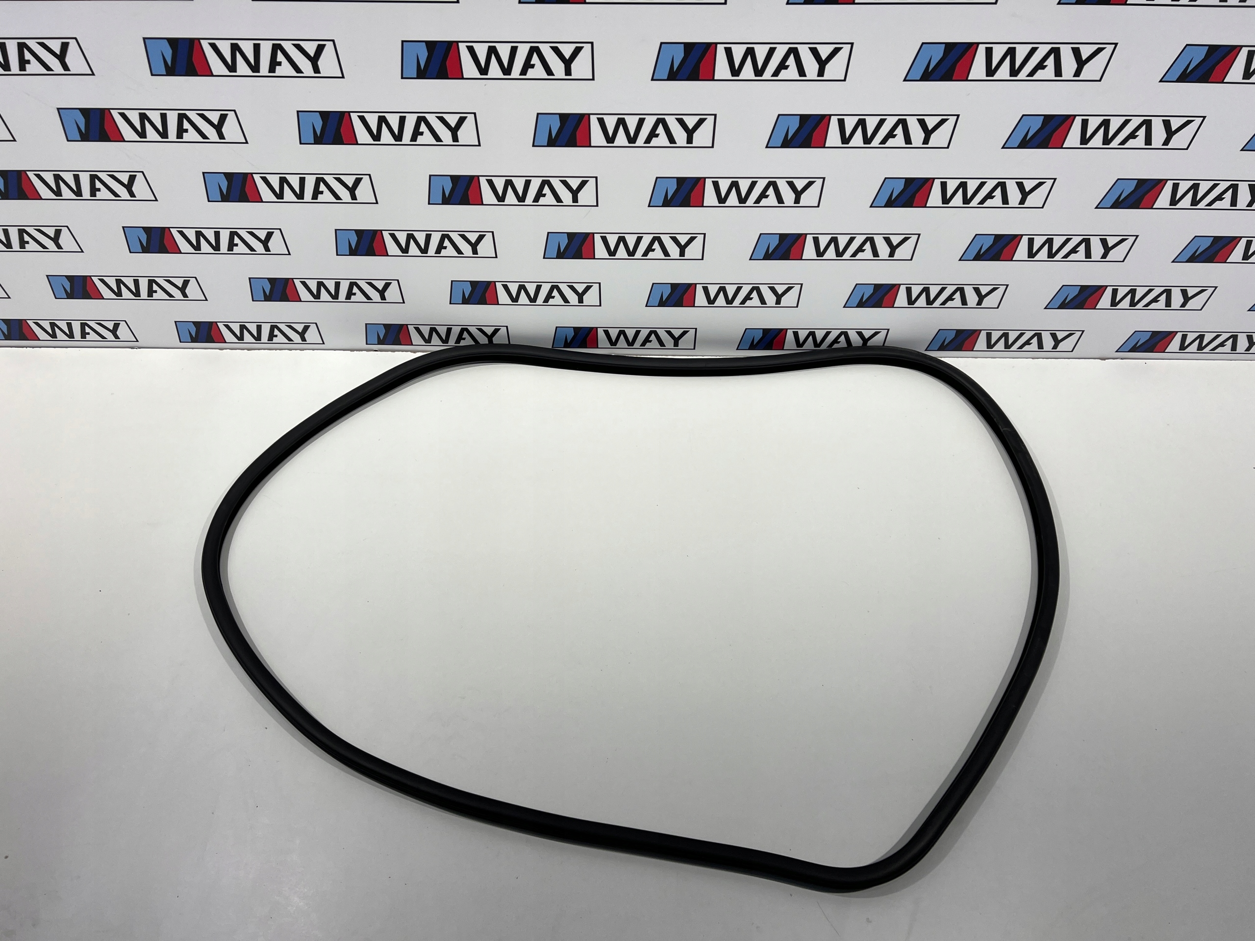 BMW X3 F25 gasket door left right front 7300242