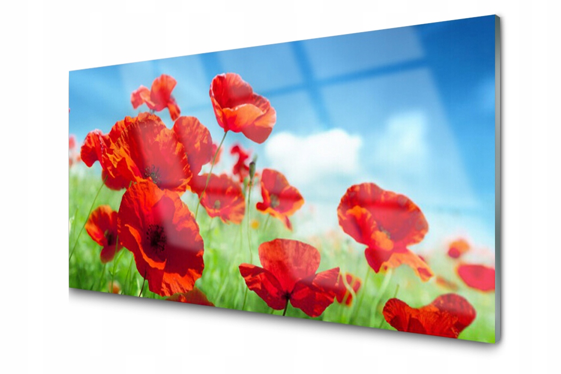 

Panel szklany dekoracyjny Maki Roślina 100x50
