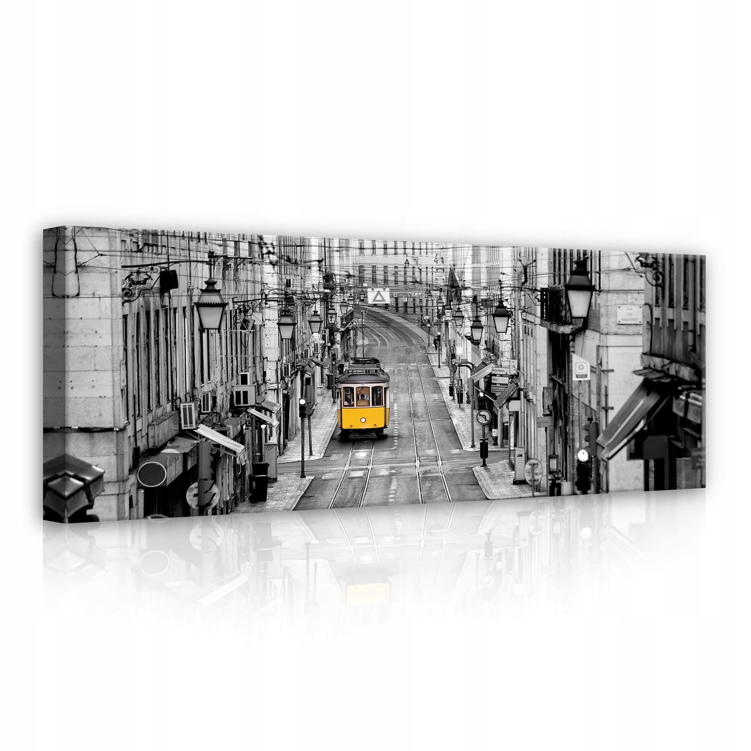 Obraz 80x30 Lisabonská Monochromatická exprese Salon Kabinet