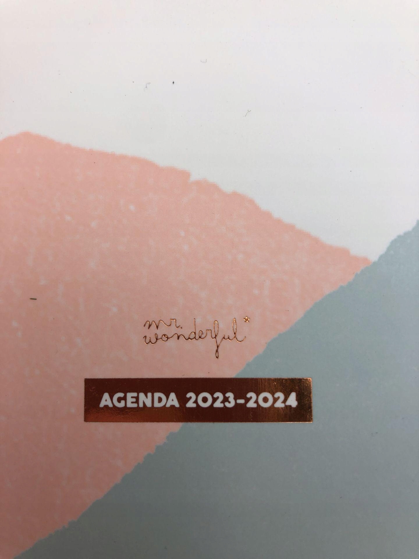 KALENDARZ MR.WONDERFUL, 2023-2024 Rozmiar A5
