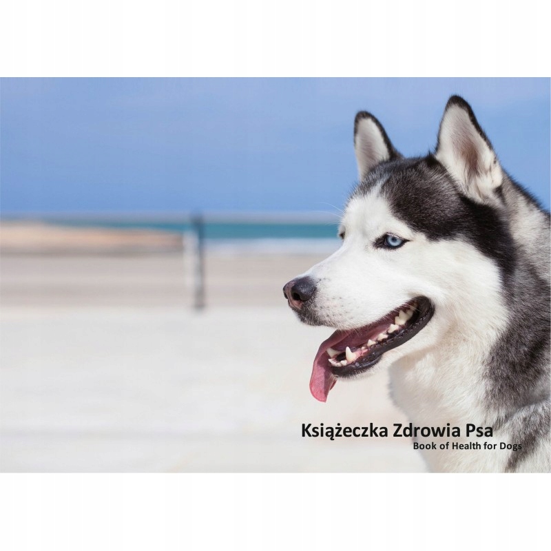 

Książeczka zdrowia psa Siberian husky