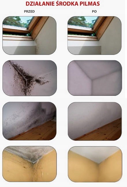 PILMAS 5L ZABÓJCA PLEŚNI PŁYN DO USUWANIA PLEŚNI I GRZYBÓW Marka Pilmas