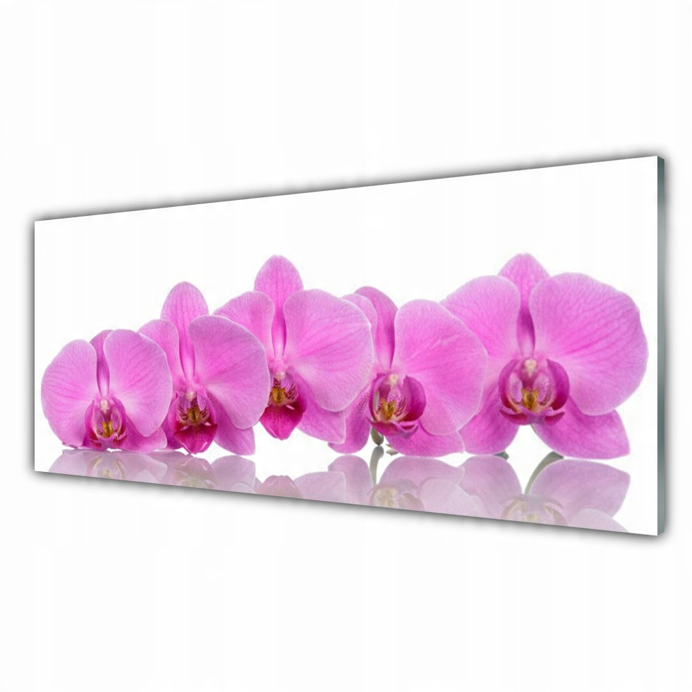

Obraz akryl ścienny 125x50 Różowa Orchidea Kwiaty