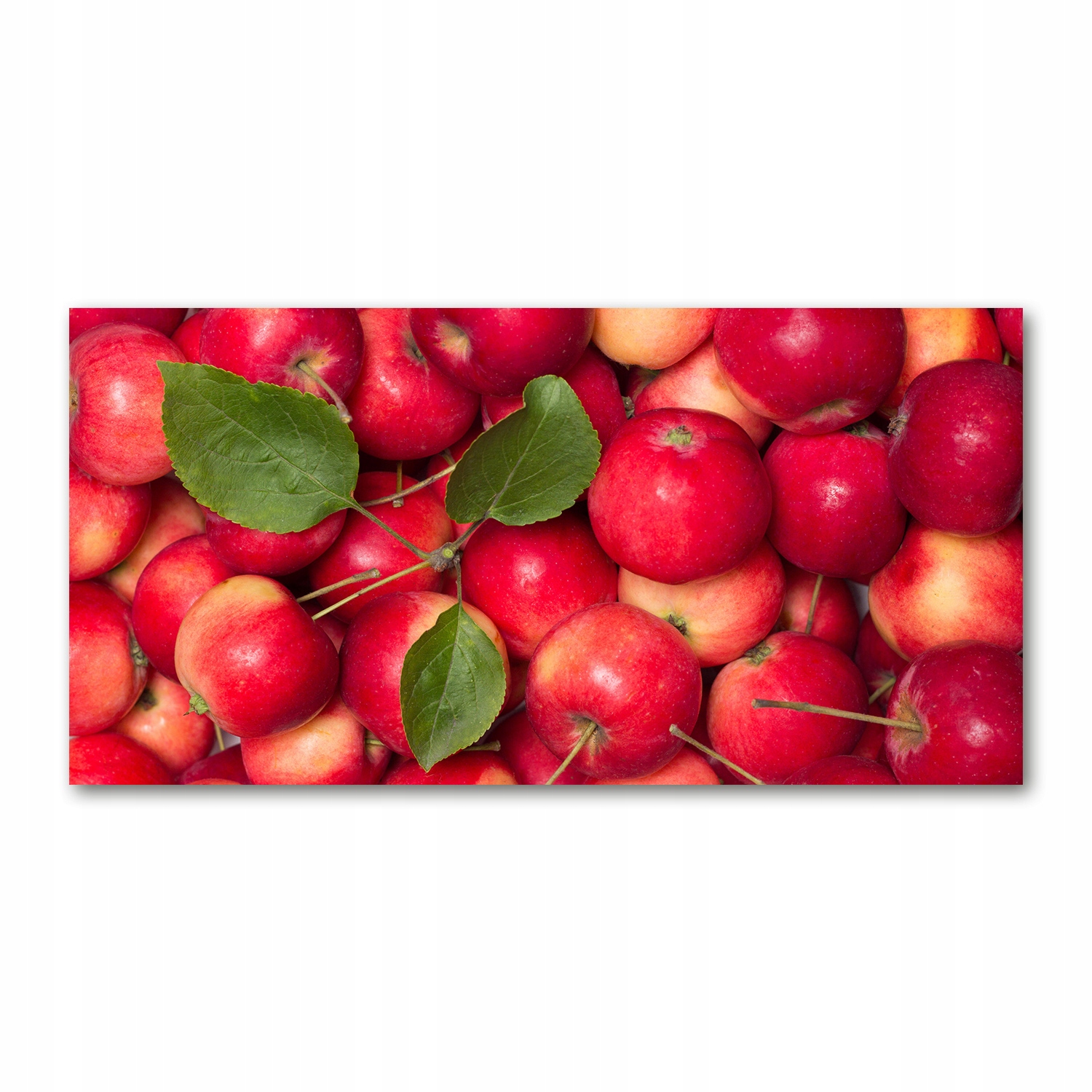 

Foto obraz akryl zdjęcie Czerwone jabłka 120X60 cm