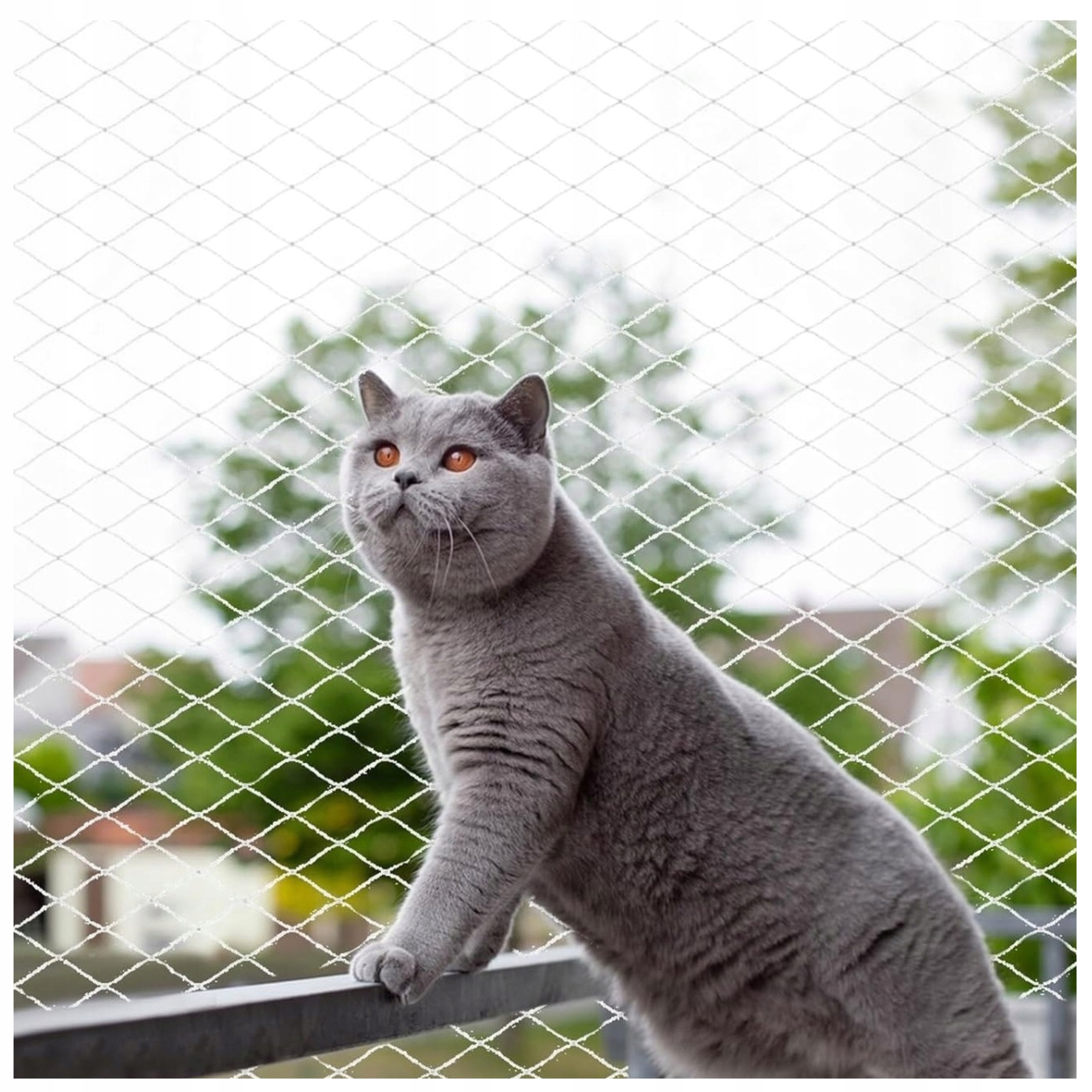 Ochranná Síť Pro Kočky Balkon Okno Dveře Terasa 5x5 m