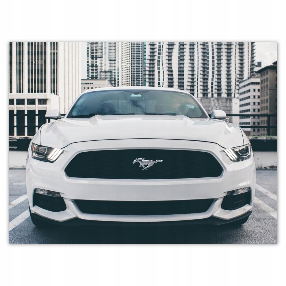 

Plakat 40x30 Ford Mustang Samochód Usa