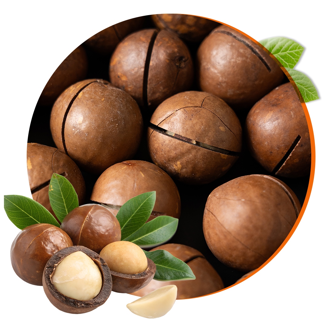 Makadamia ve skořápce 2x500 g s vanilkovou příchutí klíček |OlsiFood