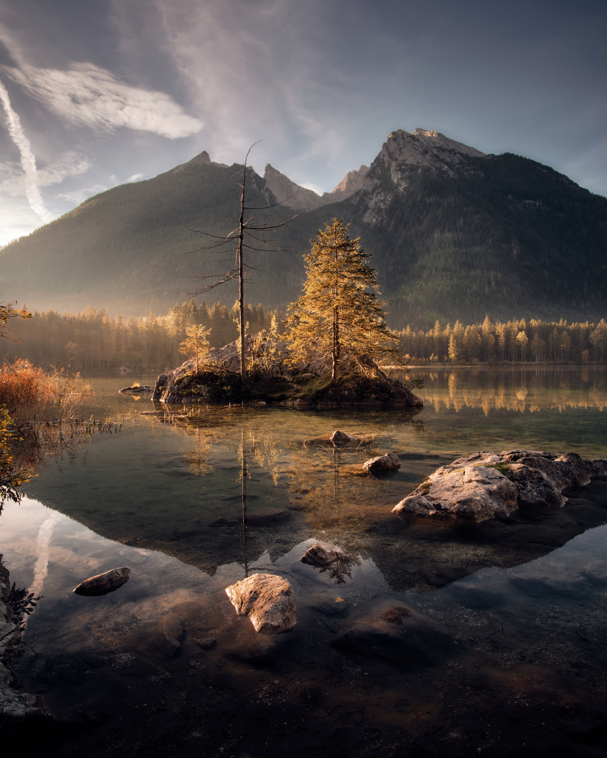 Samyang 12mm F2.0 AF Fujifilm X Ogniskowa 12 mm