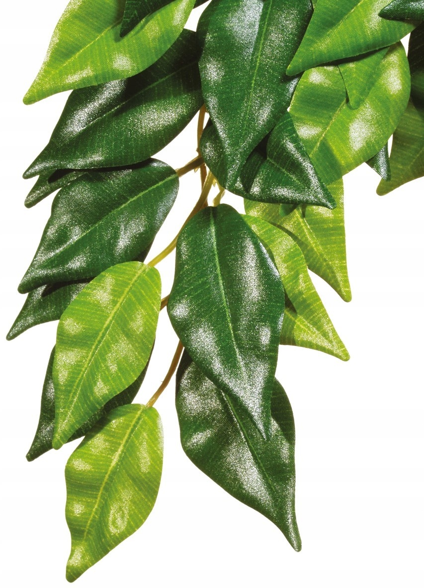 

Roślina sztuczna wystrój terrarium Silk Ficus S