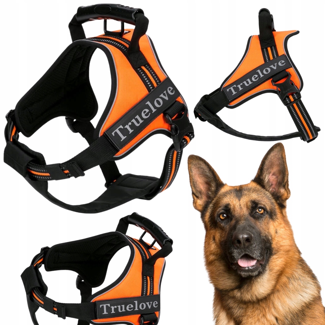 Levně Postroj Pro Psa Pracujícího S Rukojetí Truelove Outdoor Oranžový XL