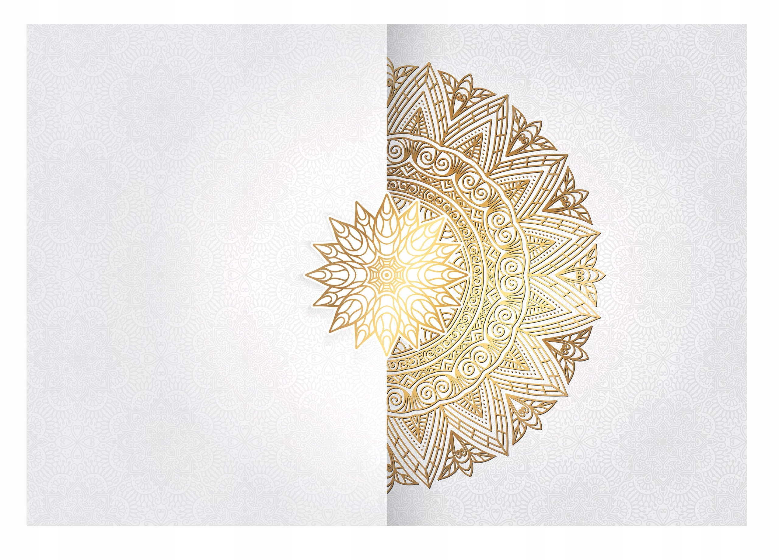 Fototapeta Ornament Bílá Mandala Imitace 312x219
