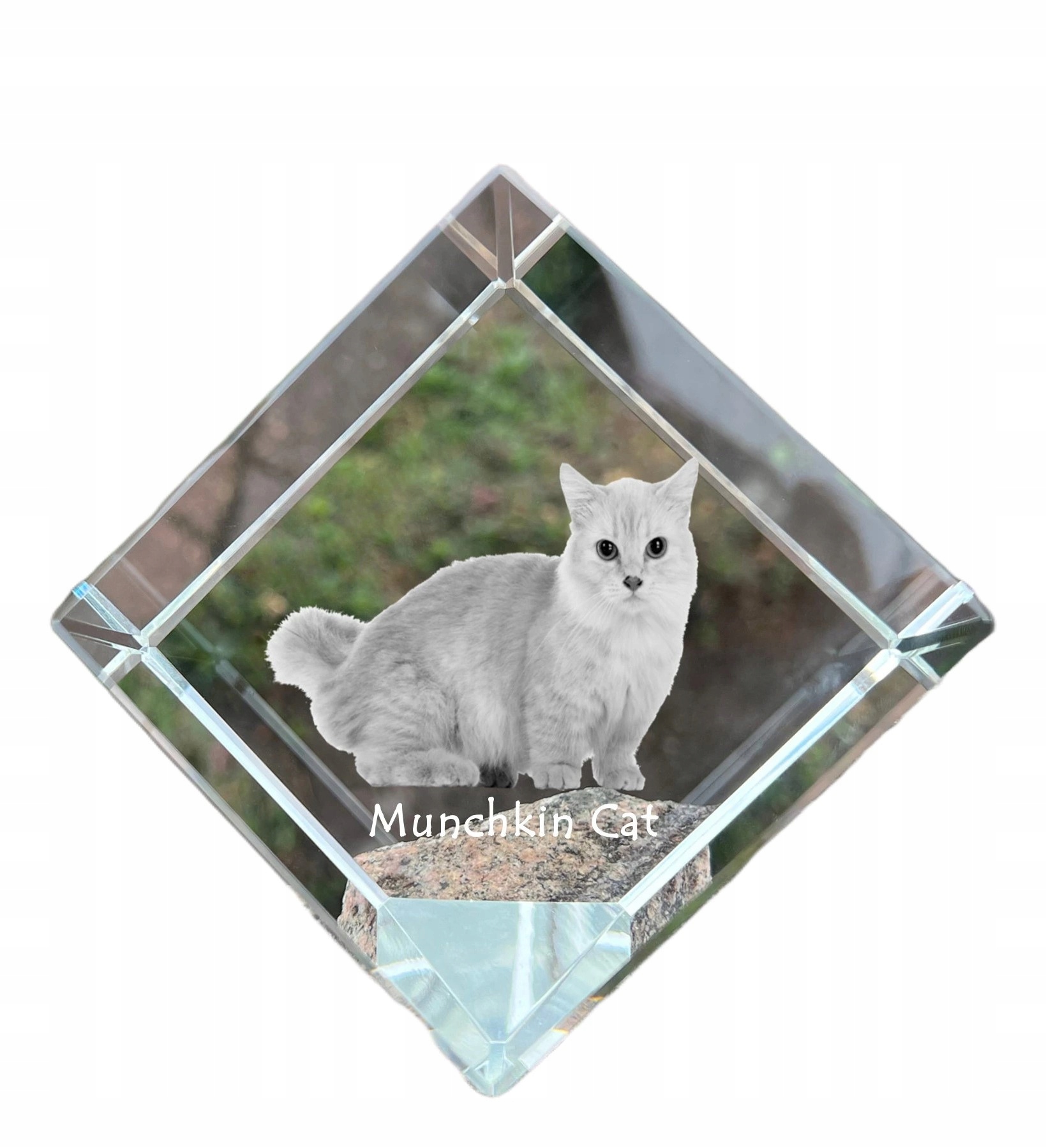Mačka Munchkin krištáľová kocka s fotografiou mačky, ozdoba do pracovne